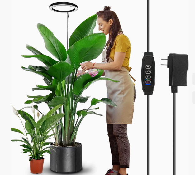https://static.hzpdex.com/21fb2165-6fda-44d0-a10e-9e02a05b1b94.png